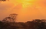 TANZANIA - Serengeti National Park - Tramonto - 2